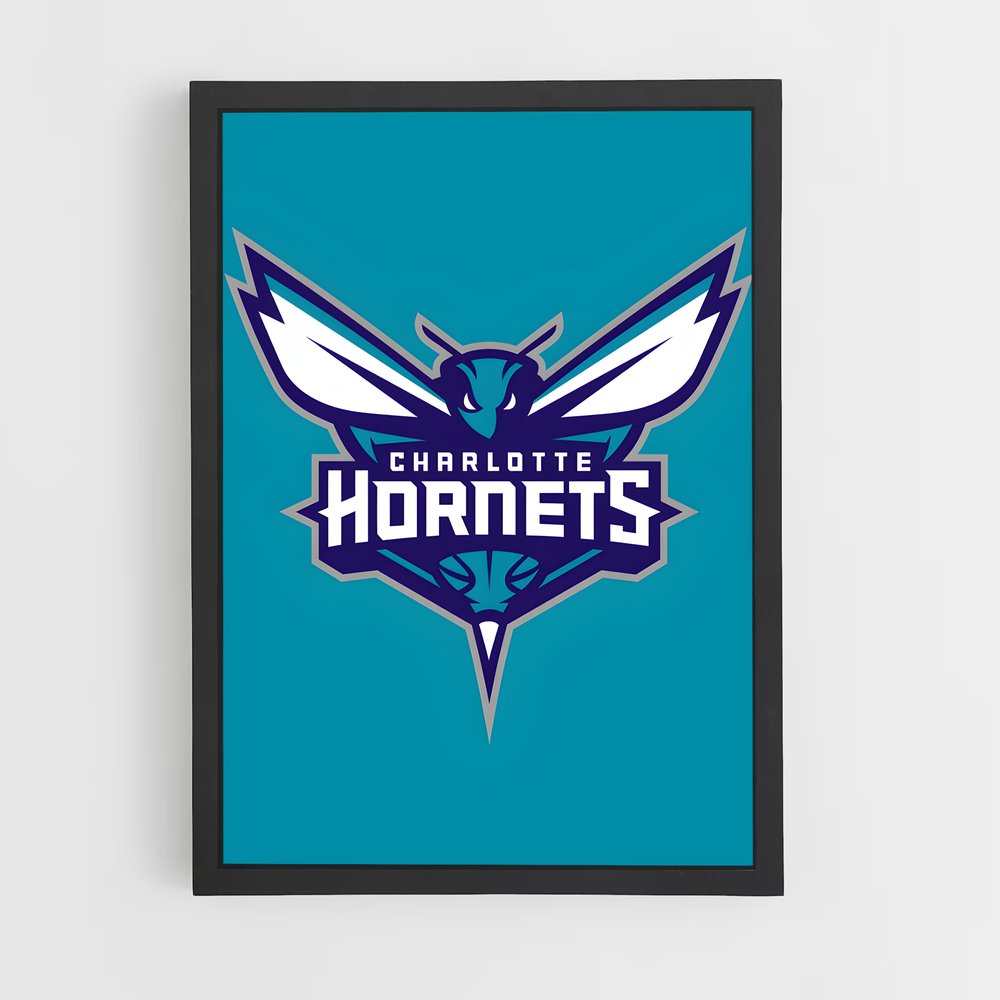 Poster Charlotte's Vibe – affiche Basketball (vue 2)